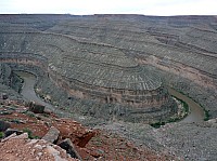 gooseneck (13).JPG